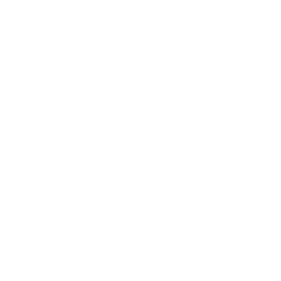 TLYNT Logo | UGC Creative Agency